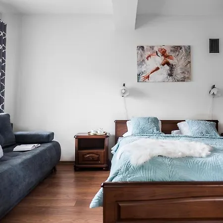 Zakohome- Snowdancer Kościelisko